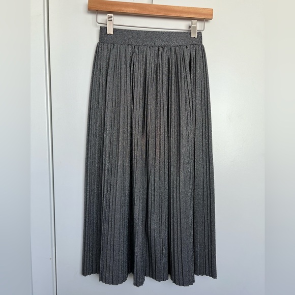 Dresses & Skirts - Women’s A-Line Pleated Skirt metallic color